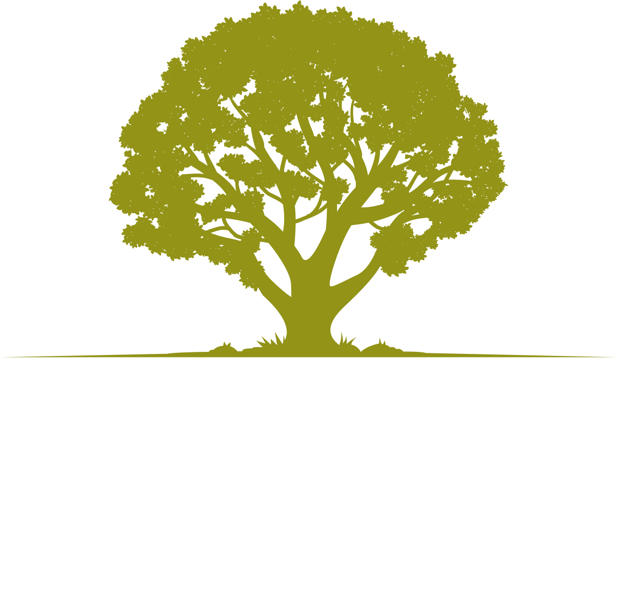 Wimberley Getaways