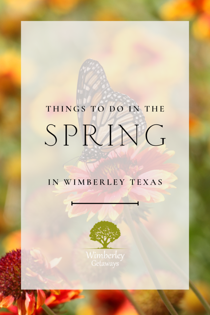 Spring blooms in Wimberley, Wimberley Market Days crowd, Total Solar Eclipse in the Texas Hill Country, Butterfly Festival at Emily Ann Theater and Gardens
